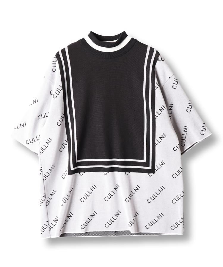 19-SS-015