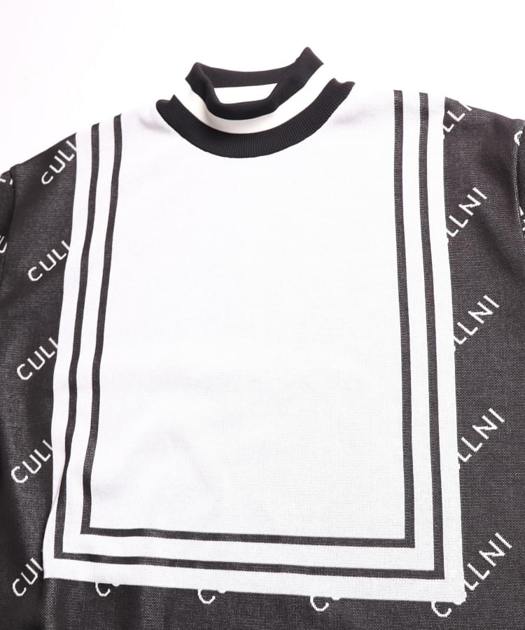 19-SS-015